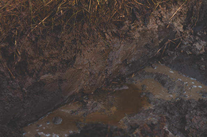 muddy-trenches
